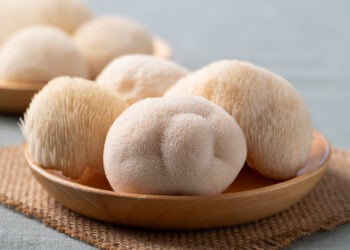 Fresh Lion's Mane mushroom,(Hericium erinaceus) on a wooden plate, known for nootropic benefits and medicinal properties